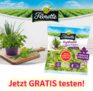 Florette Kopfsalat mit feinen Kräutern – GRATIS TESTEN dank GELD-ZURÜCK-AKTION
